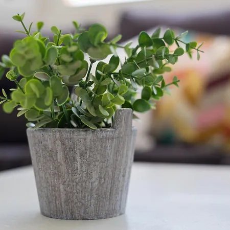 Barca Palms * Лахита