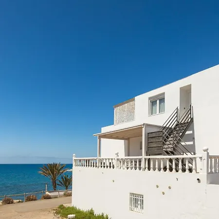 Barca Palms Lajita